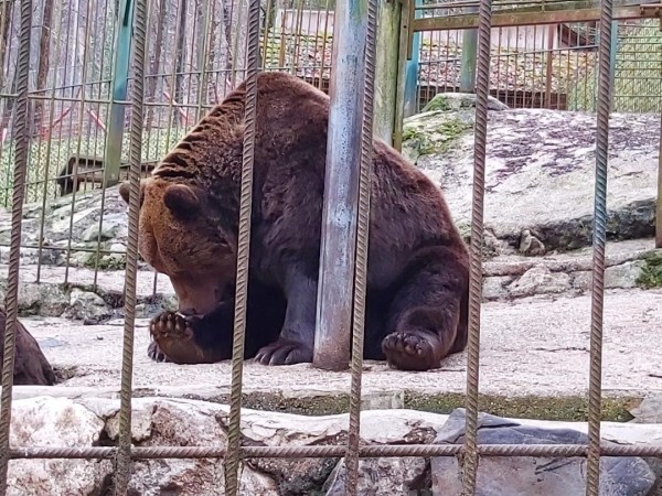 Naravni živalski vrt - ZOO Park Rožman