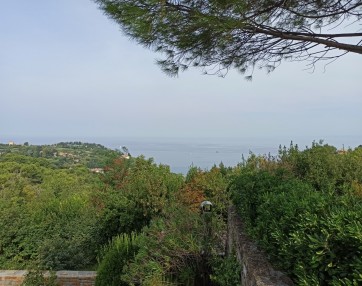 Img 20200910 104514