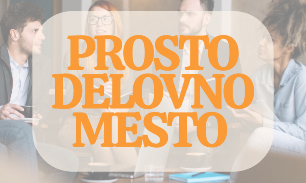 PROSTO DELOVNO MESTO: KOORDINATOR PROSTOVOLJNEGA DELA- ORGANIZATOR SOCIALNE MREŽE - M/Ž