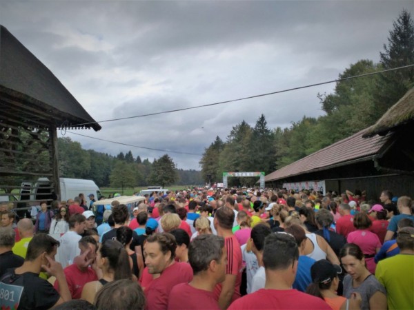 Maraton Brdo pri Kranju