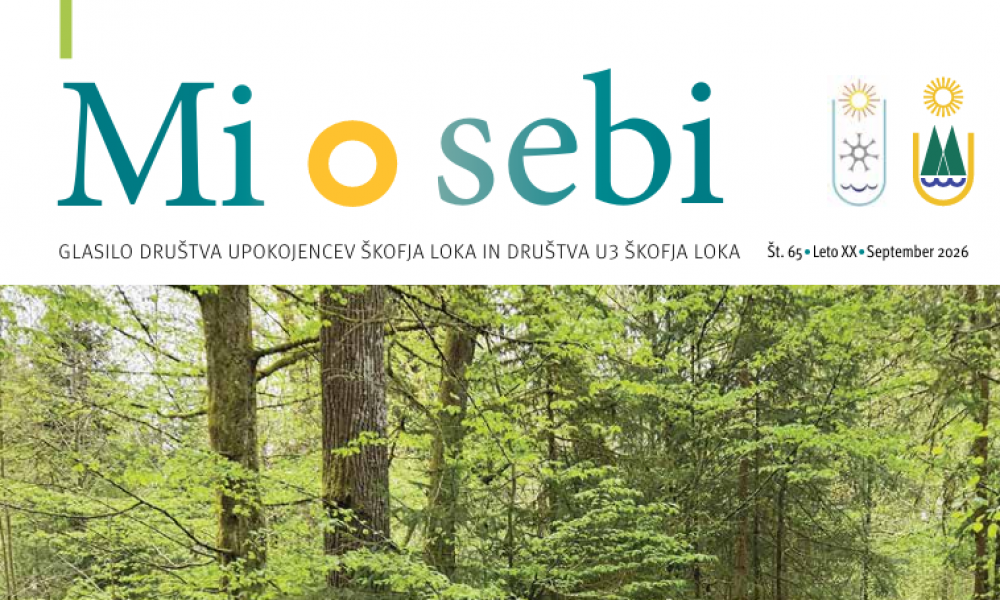 Naša zgodba o medgeneracijskem prostovoljstvu v glasilu Mi o sebi