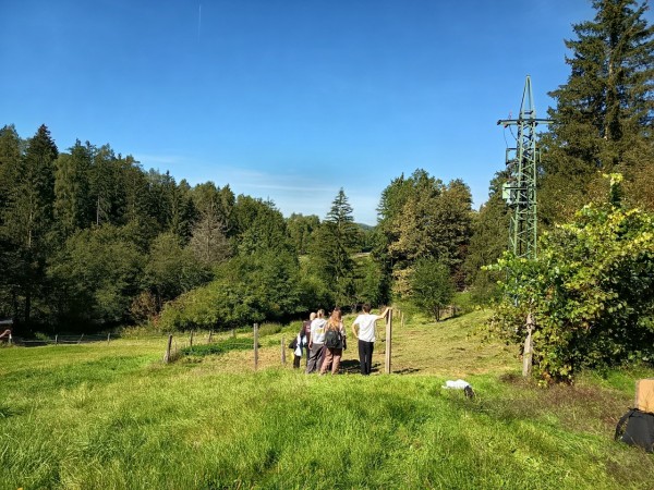 Jesenski tabor Programa za otroke in mladostnike na Koroškem